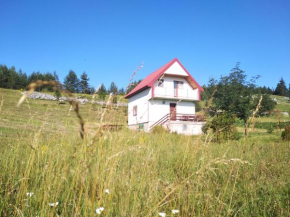  Holiday Home Usovic  Жабляк